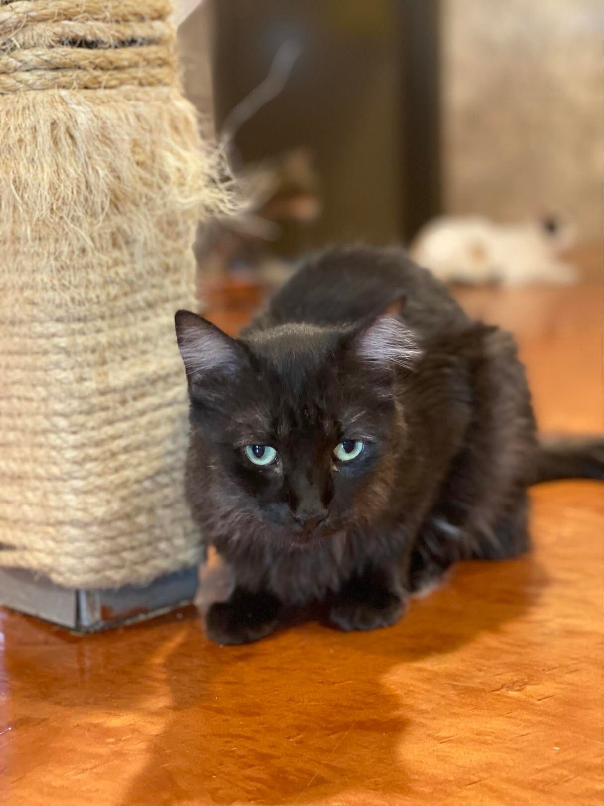Sumatra